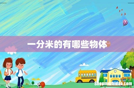 一分米的有哪些物体