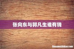 张向东与郭凡生谁有钱