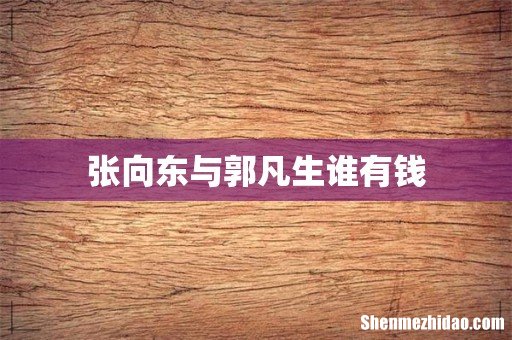 张向东与郭凡生谁有钱