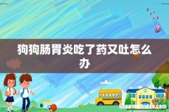 狗狗肠胃炎吃了药又吐怎么办