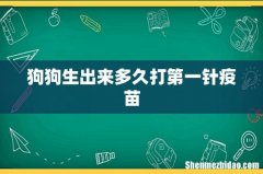 狗狗生出来多久打第一针疫苗