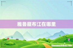 雅鲁藏布江在哪里