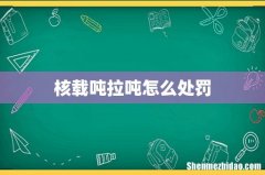 核载吨拉吨怎么处罚