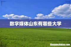 数字媒体山东有哪些大学