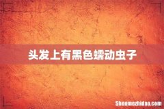 头发上有黑色蠕动虫子