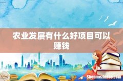 农业发展有什么好项目可以赚钱