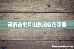 河南省芈月山玫瑰谷在哪里