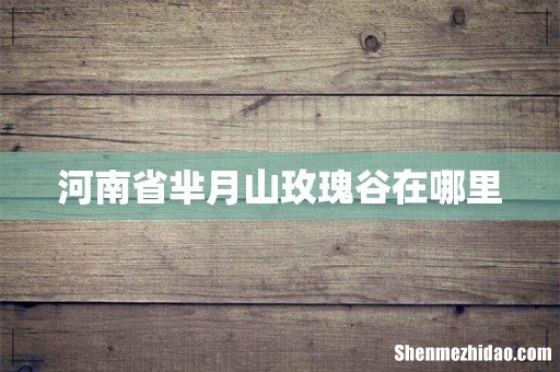 河南省芈月山玫瑰谷在哪里