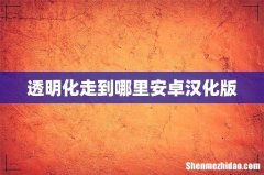 透明化走到哪里安卓汉化版