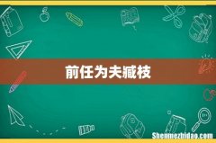 前任为夫臧枝