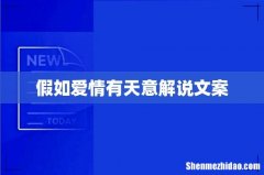假如爱情有天意解说文案