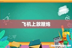 飞机上放鞭炮