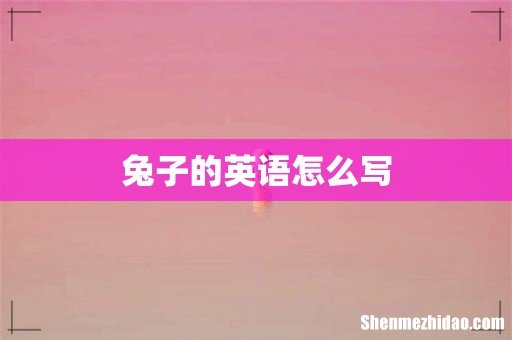 兔子的英语怎么写