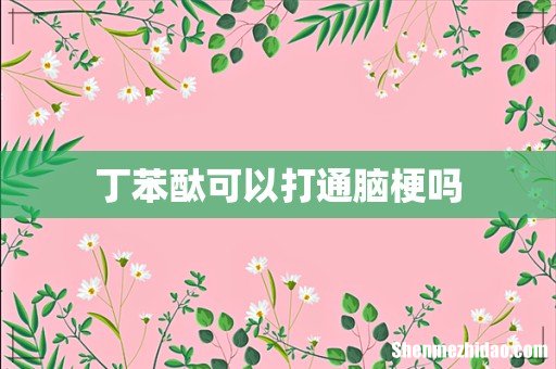 丁苯酞可以打通脑梗吗