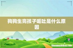 狗狗生完孩子呕吐是什么原因