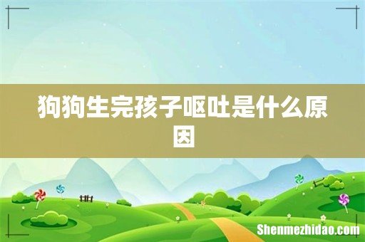 狗狗生完孩子呕吐是什么原因
