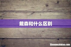 戴森和什么区别