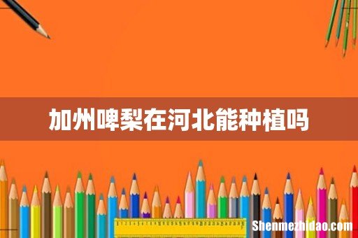 加州啤梨在河北能种植吗