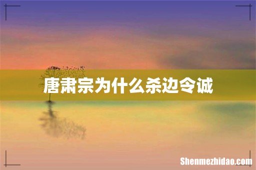 唐肃宗为什么杀边令诚