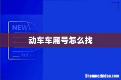 动车车厢号怎么找