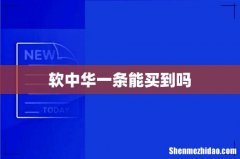 软中华一条能买到吗