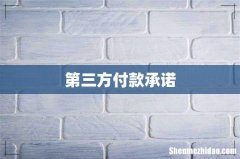 第三方付款承诺