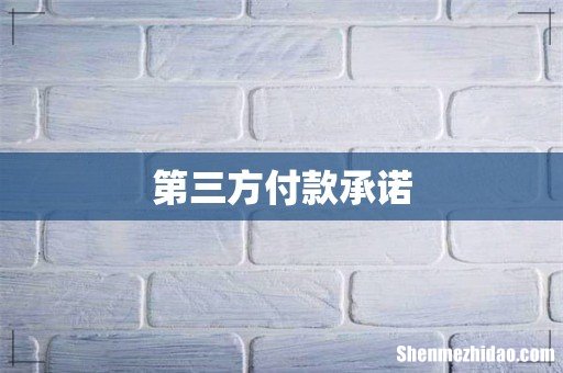 第三方付款承诺