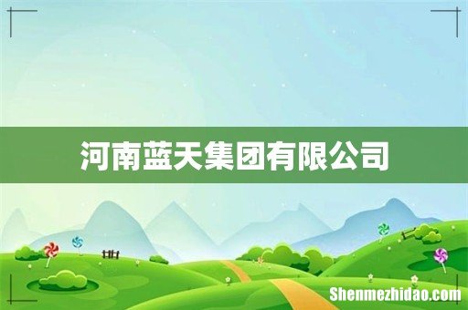 河南蓝天集团有限公司
