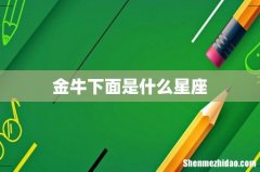 金牛下面是什么星座