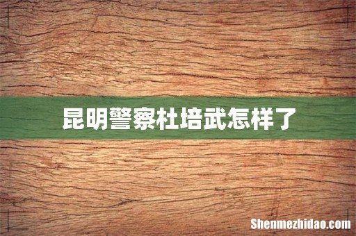 昆明警察杜培武怎样了