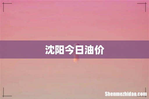 沈阳今日油价