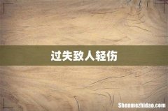 过失致人轻伤