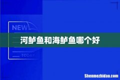 河鲈鱼和海鲈鱼哪个好