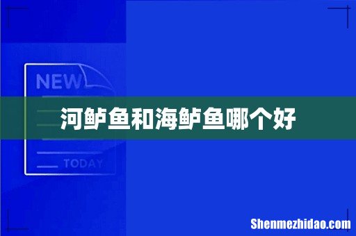 河鲈鱼和海鲈鱼哪个好