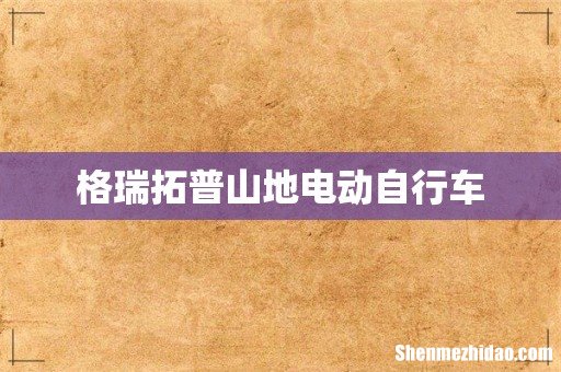 格瑞拓普山地电动自行车