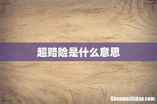超赔险是什么意思