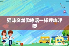 猫咪突然像哮喘一样呼哧呼哧
