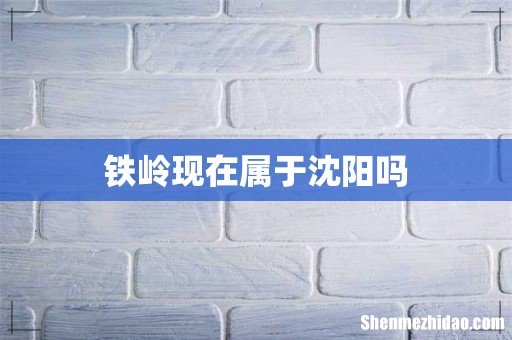 铁岭现在属于沈阳吗