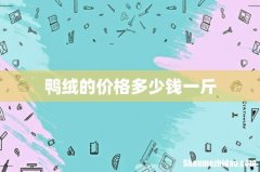鸭绒的价格多少钱一斤