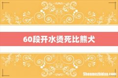 60段开水烫死比熊犬