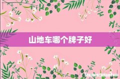 山地车哪个牌子好
