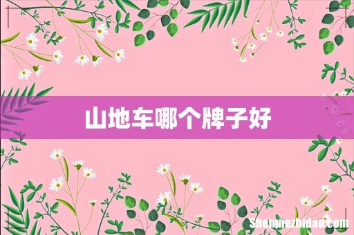山地车哪个牌子好