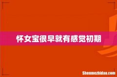 怀女宝很早就有感觉初期