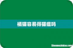 橘猫容易得猫瘟吗