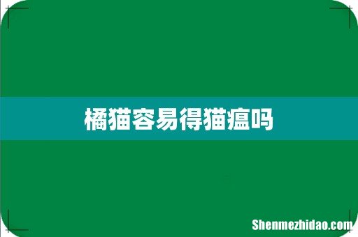 橘猫容易得猫瘟吗