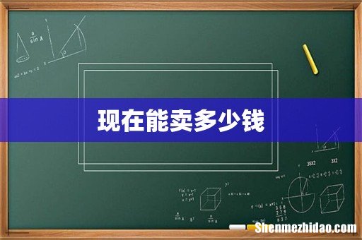 现在能卖多少钱