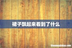 裙子飘起来看到了什么