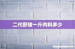 二代野猪一斤肉料多少
