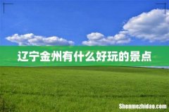 辽宁金州有什么好玩的景点