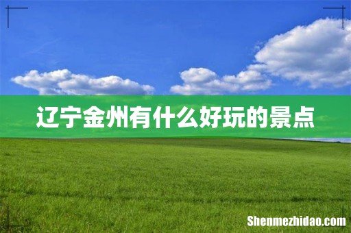 辽宁金州有什么好玩的景点